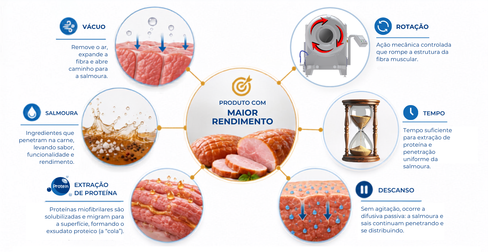 O ecossistema do tumbleamento