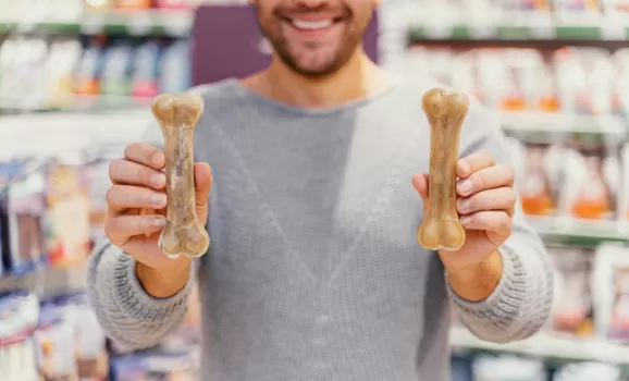 Por que a padronização é decisiva no pet food industrial