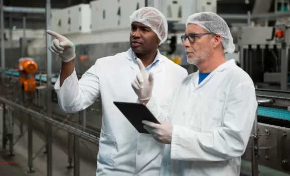 Como a padronização de processos impacta a produtividade na indústria de alimentos