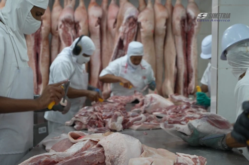 Como evitar contaminação cruzada na indústria alimentícia