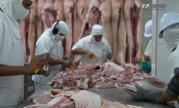 Como evitar contaminação cruzada na indústria alimentícia