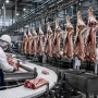 Frigoríficos do Norte: como escalar o processamento de carne